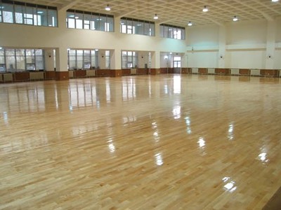 塑膠地板與運(yùn)動(dòng)場(chǎng)地材料全解析 哈爾濱塑膠跑道、人造草坪及塑膠球場(chǎng)施工